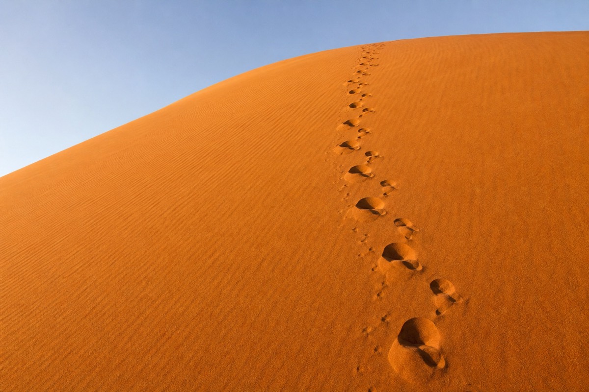 Footprints climbing a golden dune during the Muscat to Wahiba Sands drive where the tarmac ends